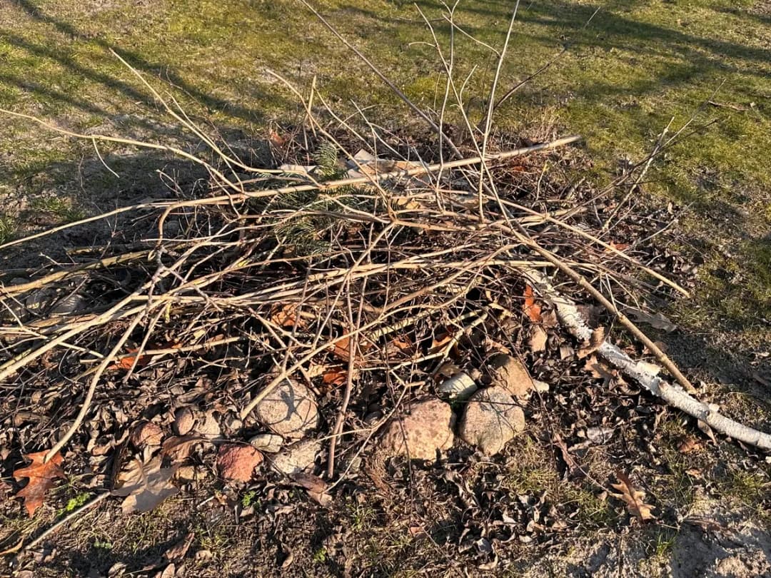 Czy można palić gałęzie na działce? Sprawdź kary i przepisy