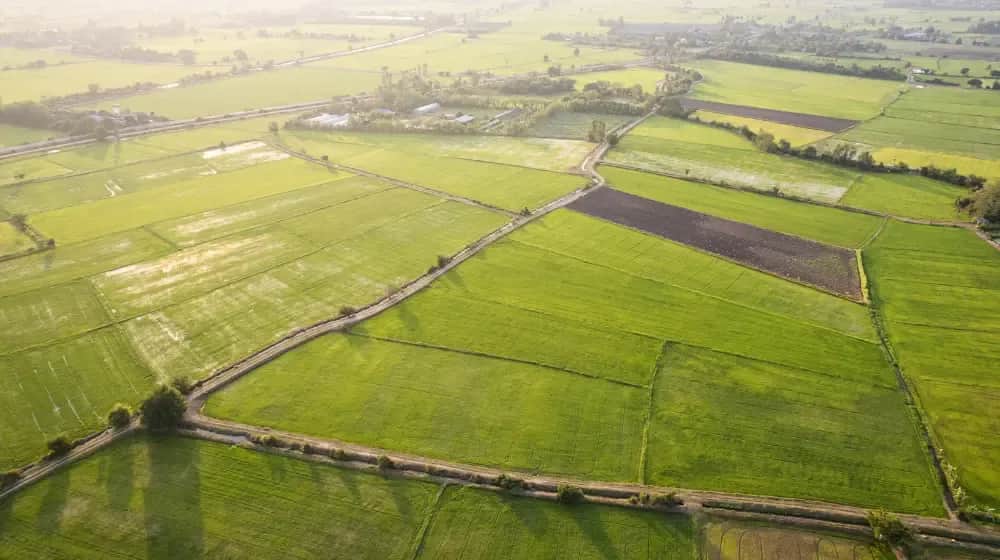 Co można wybudować na działce rolnej? Poznaj ważne przepisy i ograniczenia