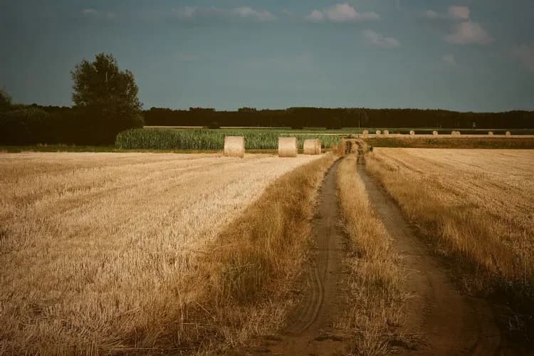 Jak sprawdzić klasę ziemi po numerze działki i uniknąć problemów z gruntem