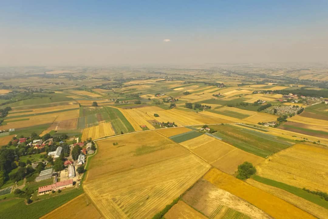 Kto płaci podatek od nieruchomości przy umowie dzierżawy? Wyjaśniamy!