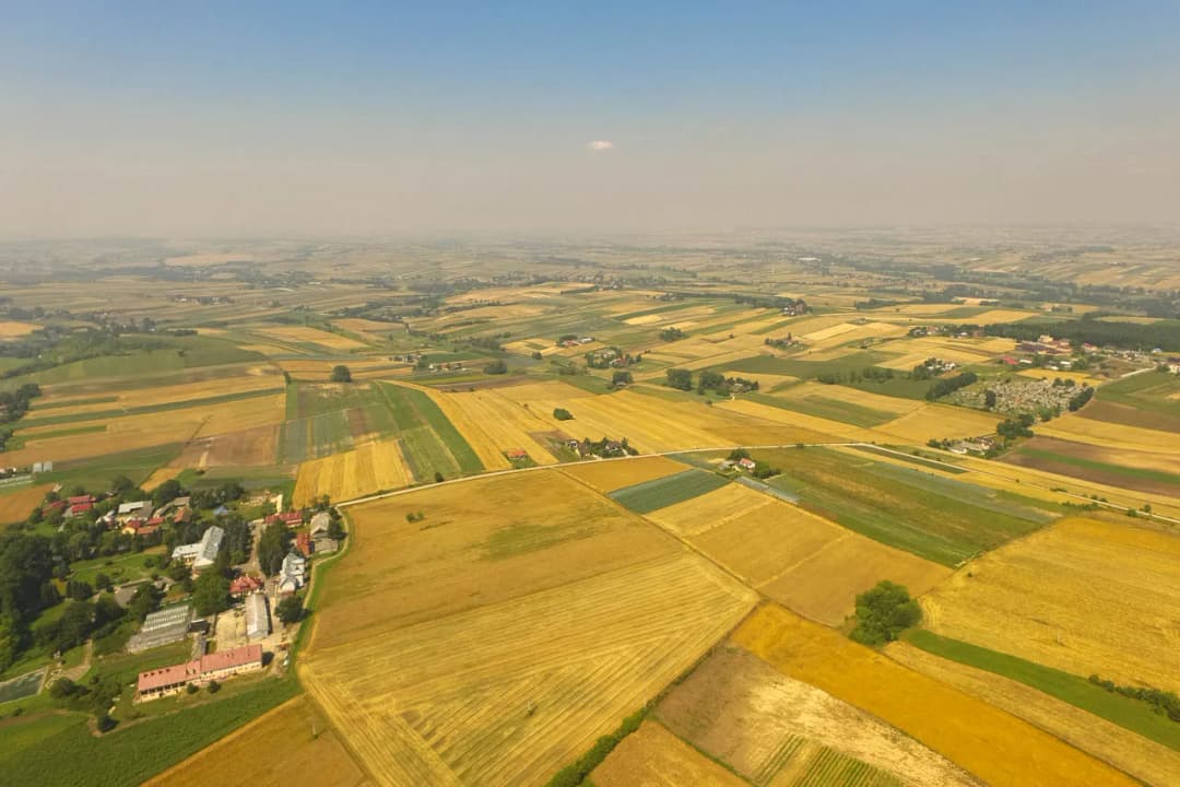Kto płaci podatek od nieruchomości przy umowie dzierżawy? Wyjaśniamy!