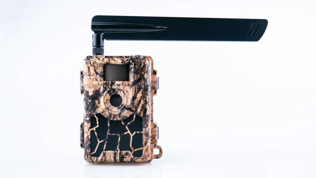 Najlepsze fotopułapki na działkę – co wybrać według forum?