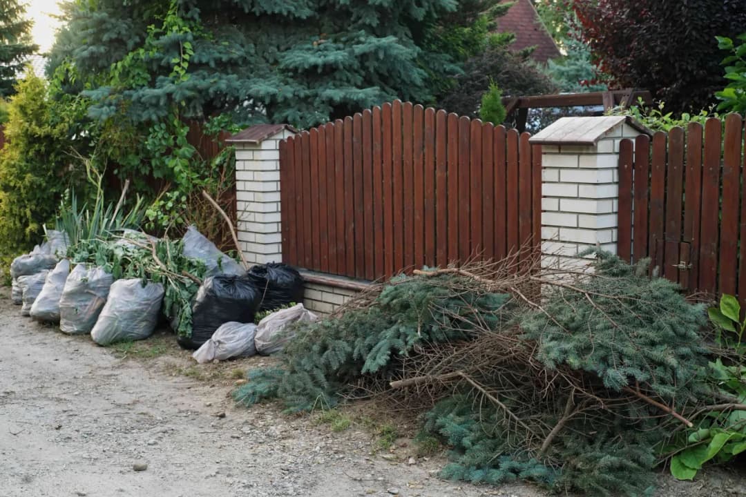 Gdzie wyrzucić gałęzie z działki, aby uniknąć kar i problemów?
